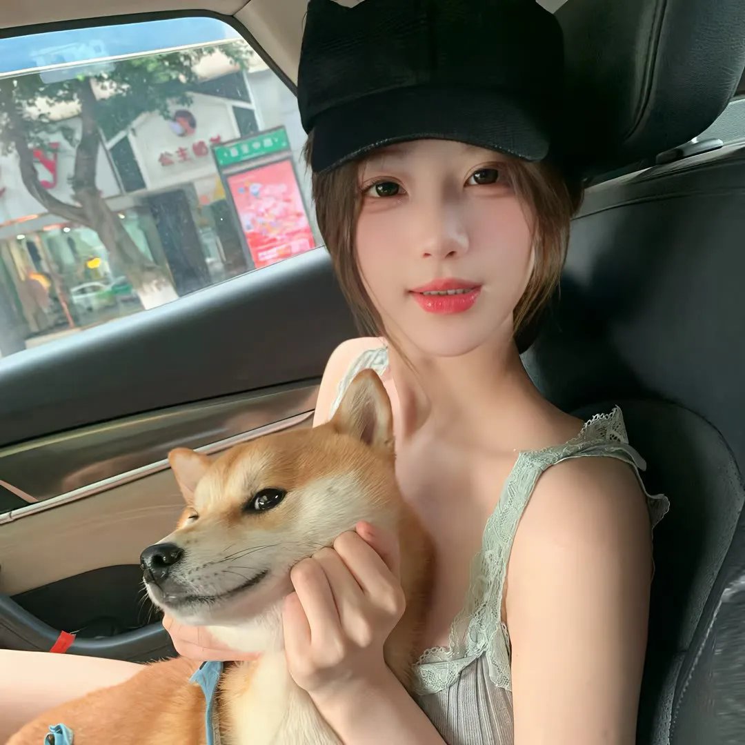 车在囧途